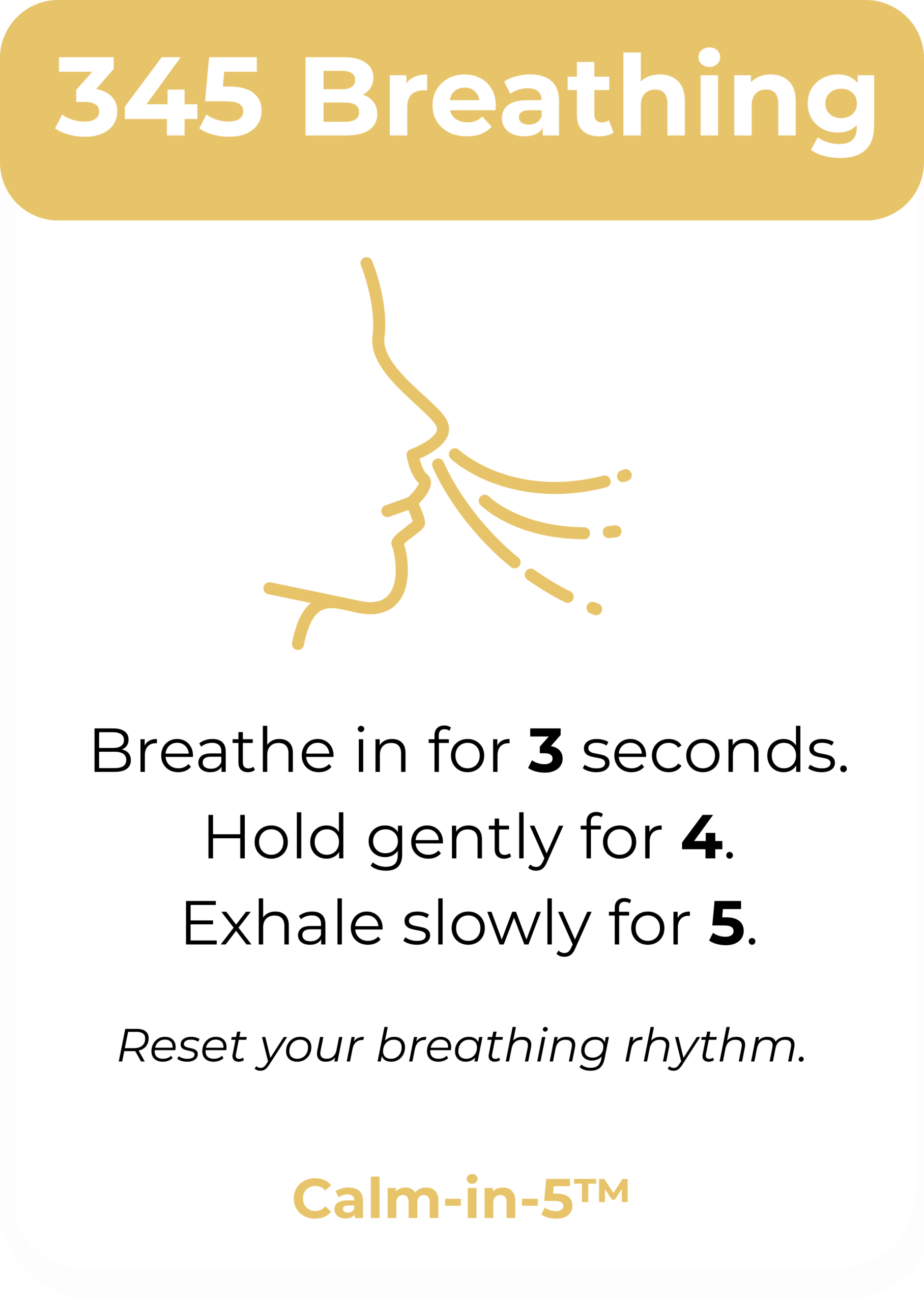 Calm-in-5™ Micro-Regulation Card Deck (Digital Download) - Image 5