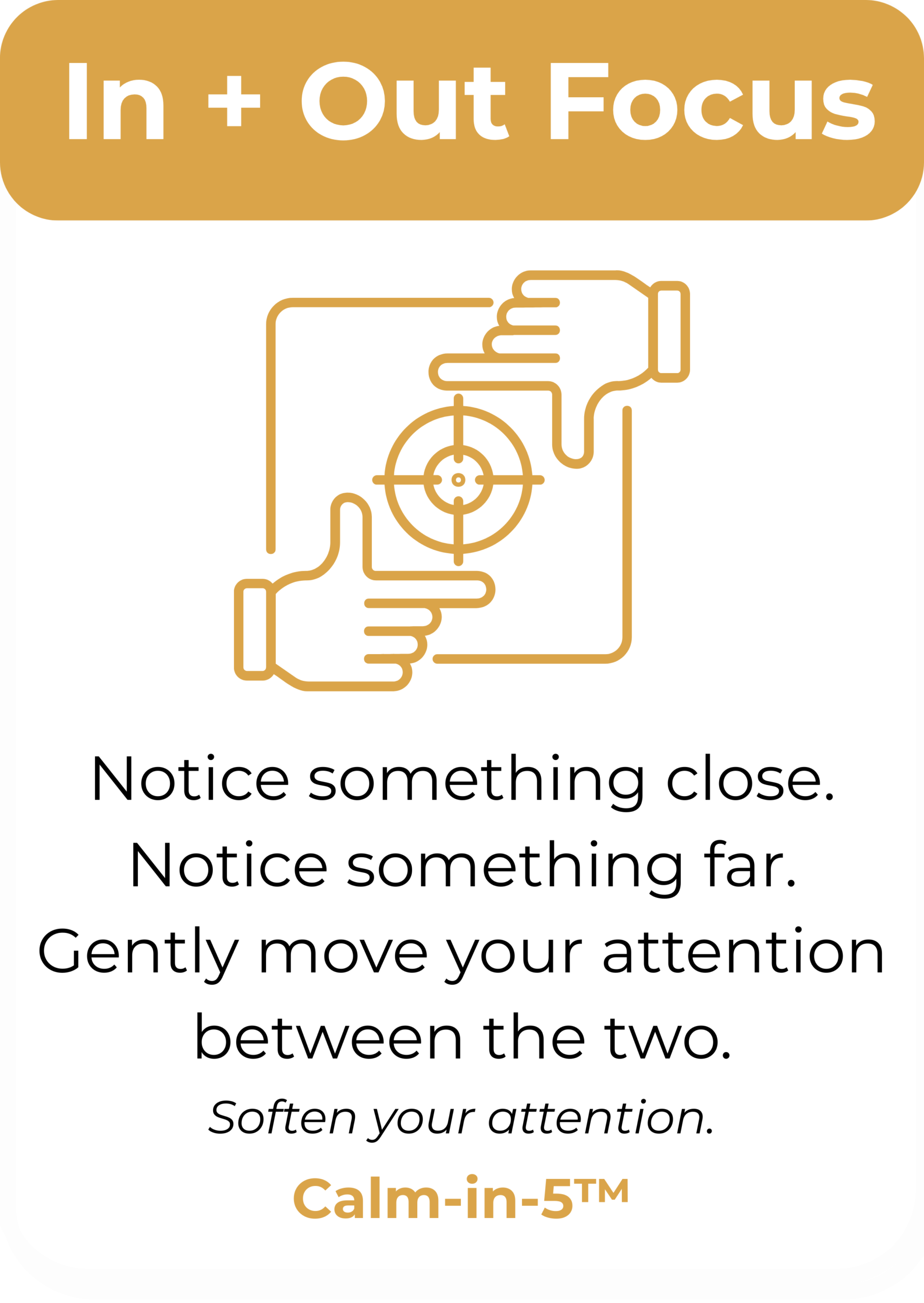 Calm-in-5™ Micro-Regulation Card Deck (Digital Download) - Image 6